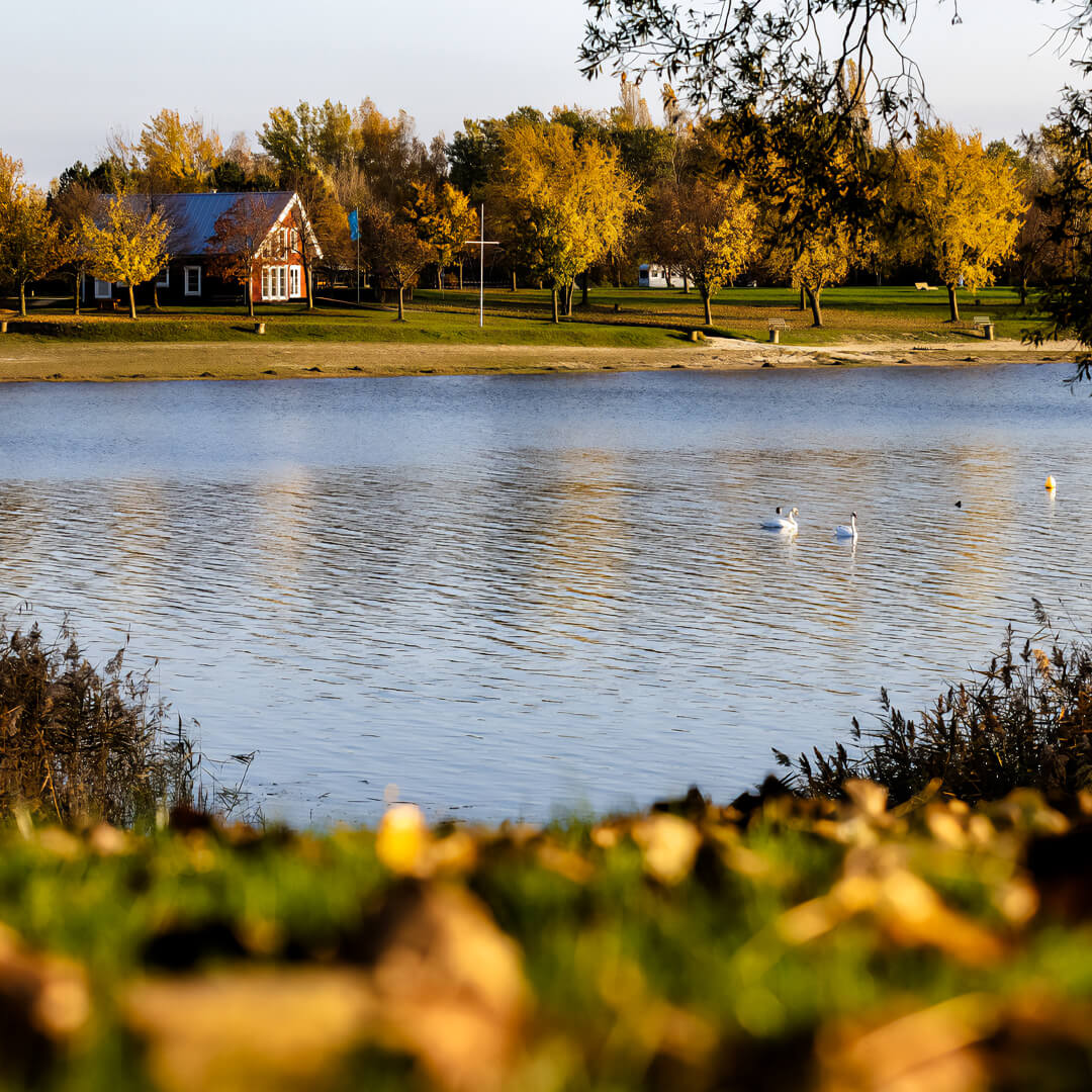 Erholungspark Mondsee, Fotograf Matthias Krüger