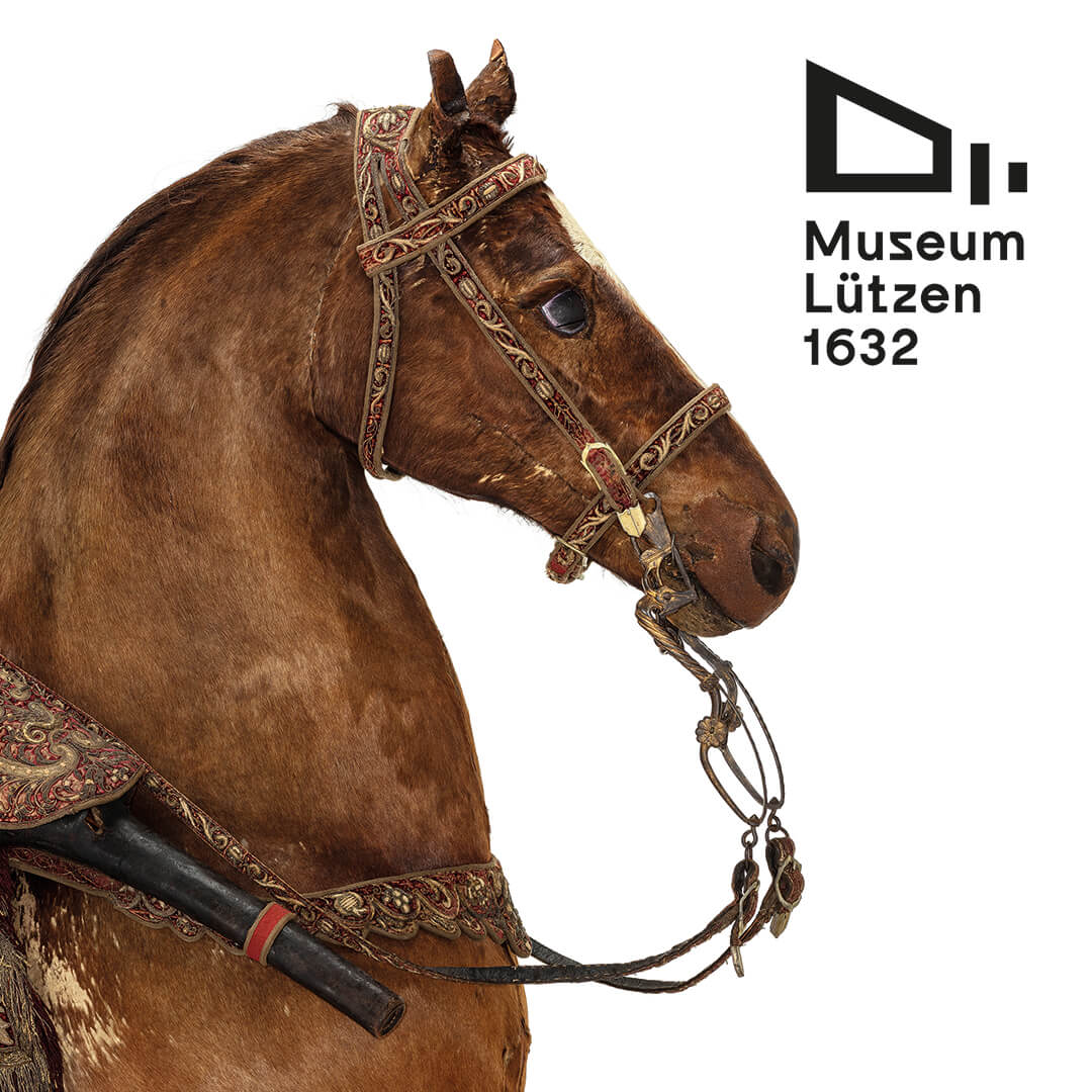 Vortrag mit dem Militärhistorischen Museum der Bundeswehr über "Tiere im Krieg"