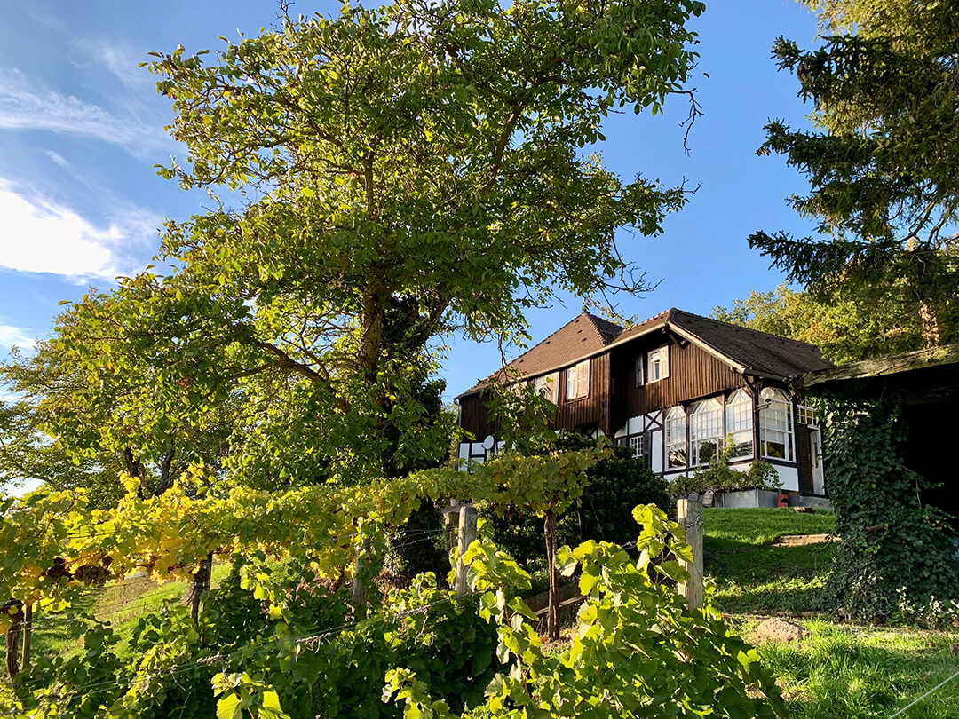 HVHS Akademie Sonneck