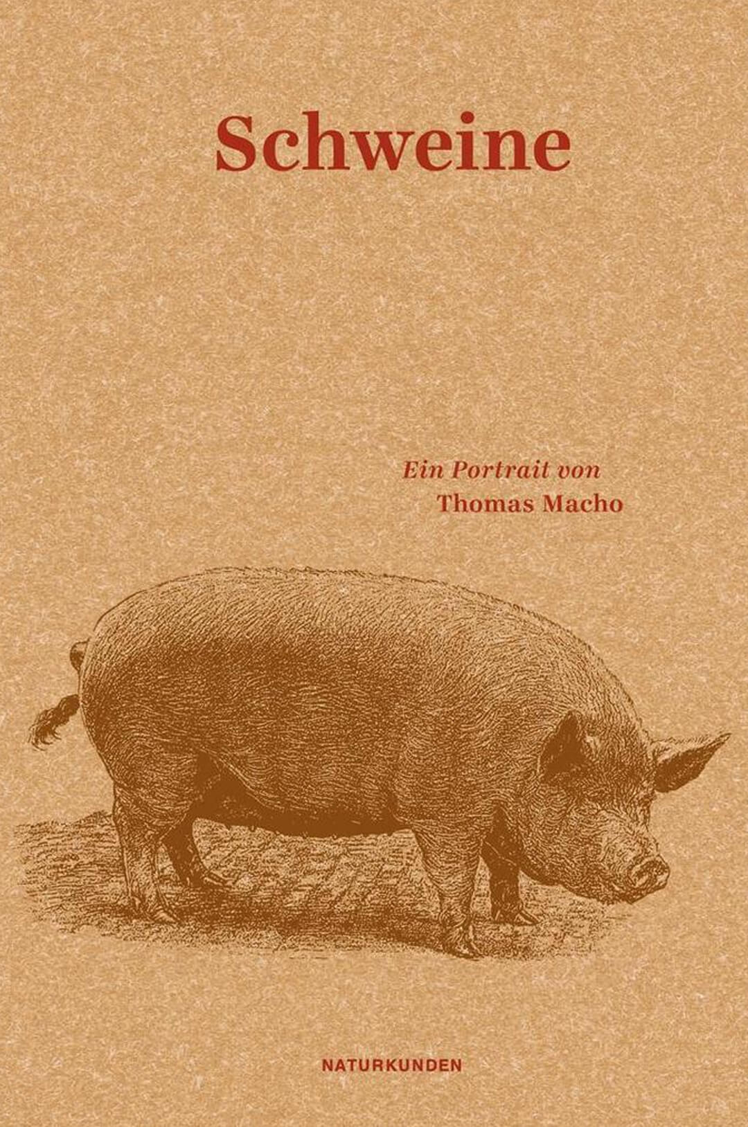 DAS SCHWEIN im Zerrspiegel der Zeiten und Religionen
