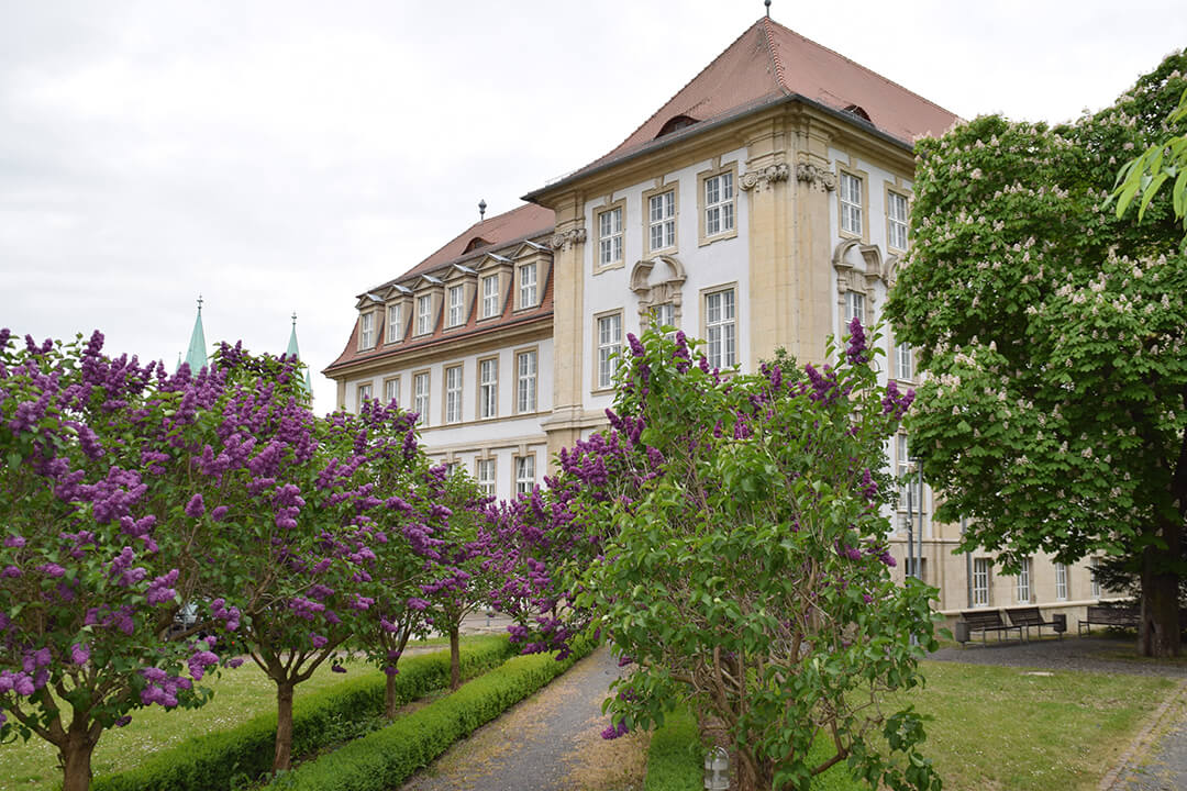 Oberlandesgericht Naumburg