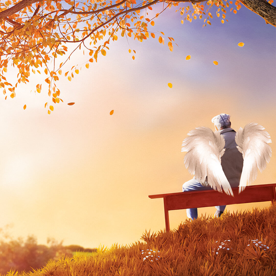 EINFACH LESEN: Robert Weinkauf liest „Ein Engel im Park“ in Einfacher Sprache