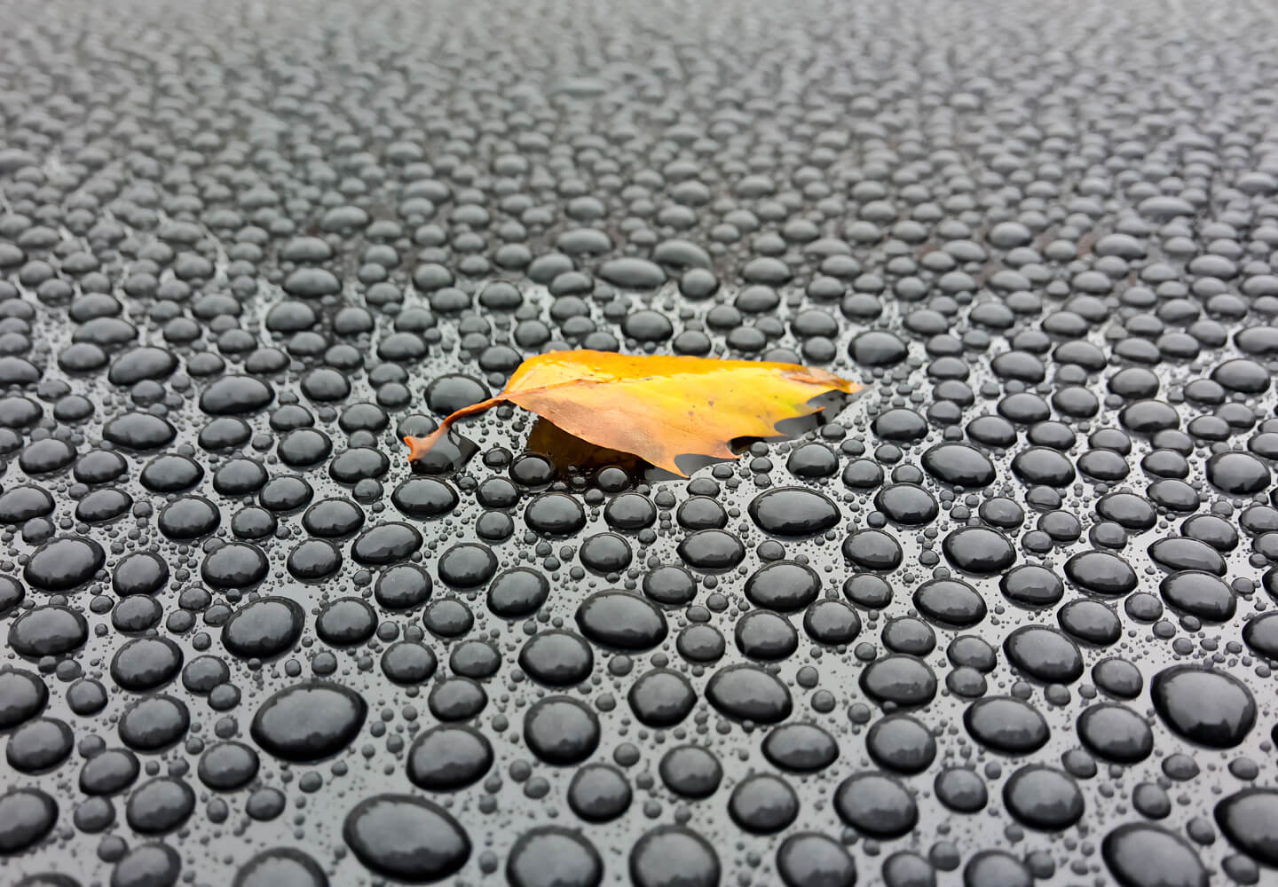 A. Eissler: WassertropfenAutodach