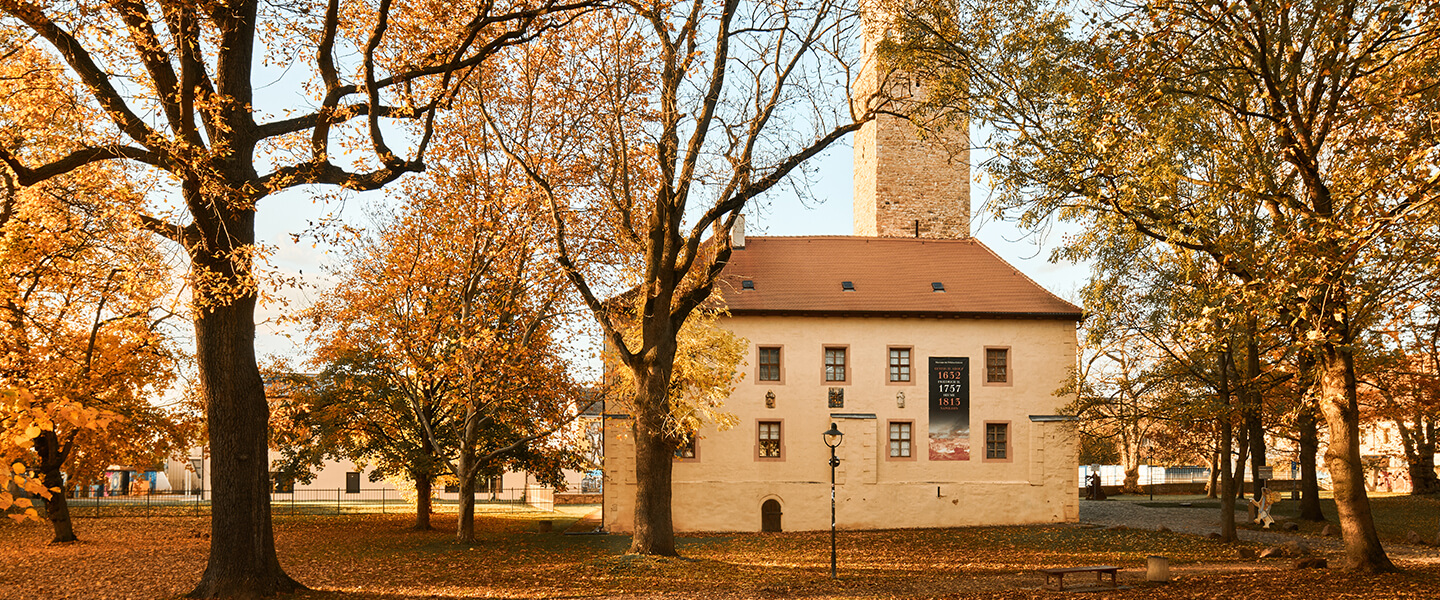 Museum im Schloss Lützen