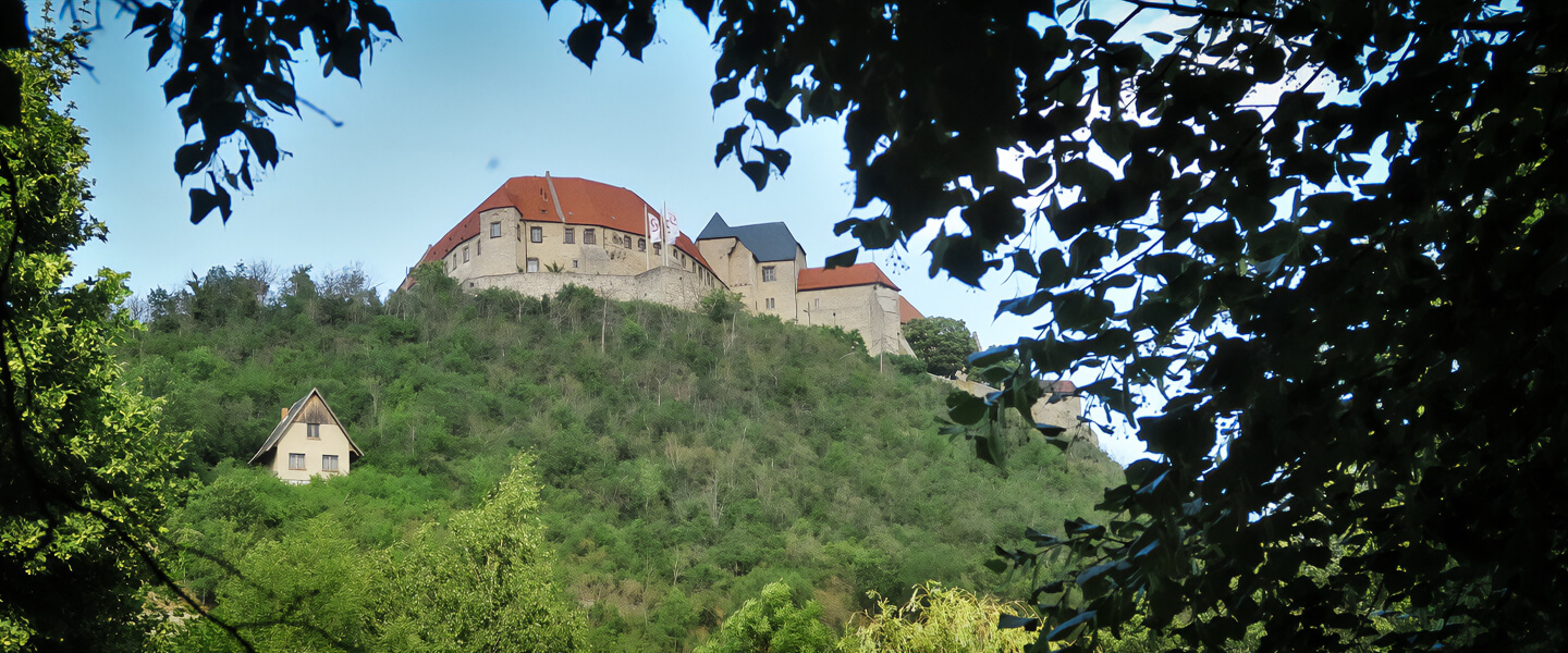 Foto: montalbâne - Internationales Festival für mittelalterliche Musik