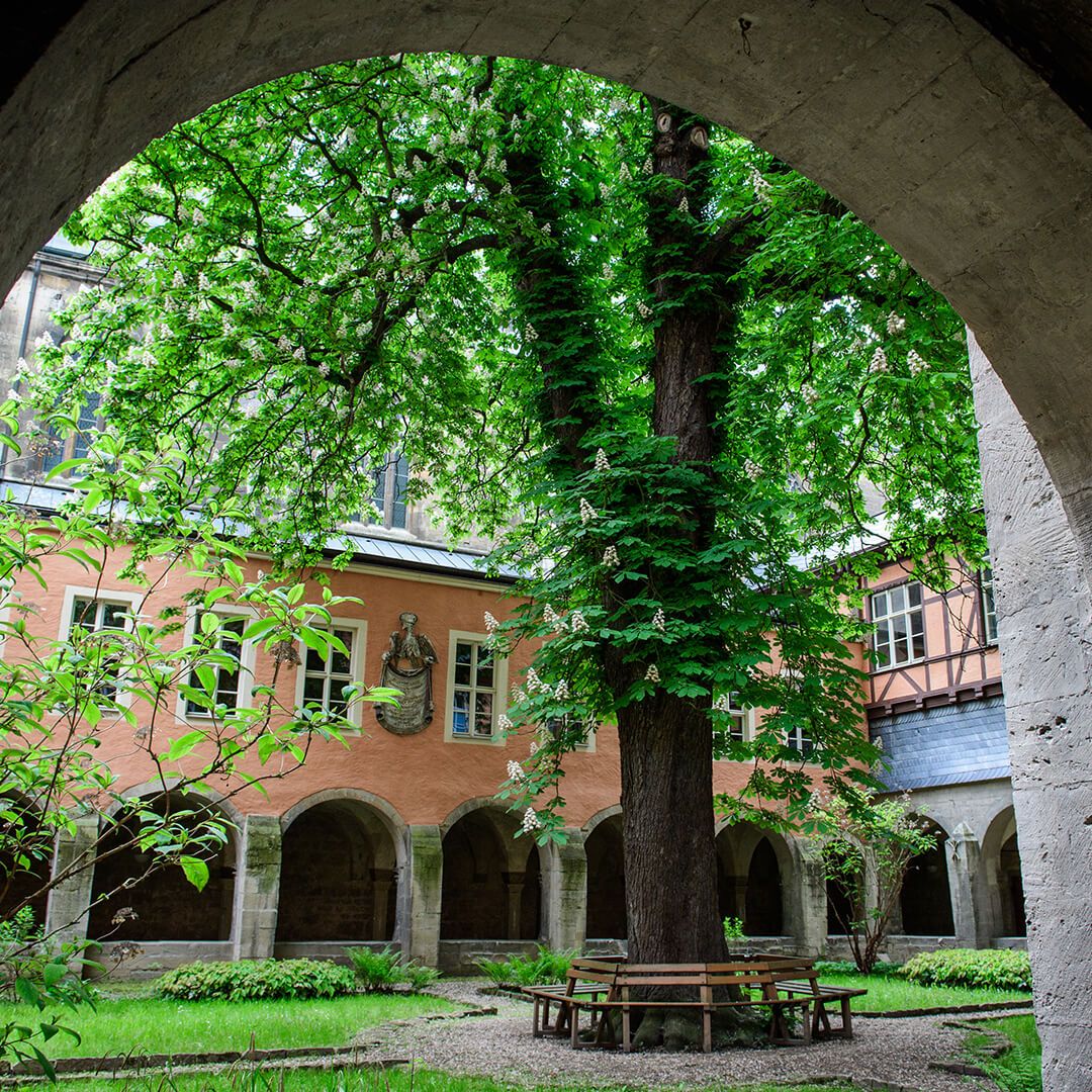 Verum Gaudium in Pforte