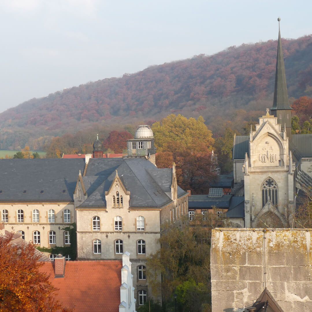 Verum Gaudium in Pforte