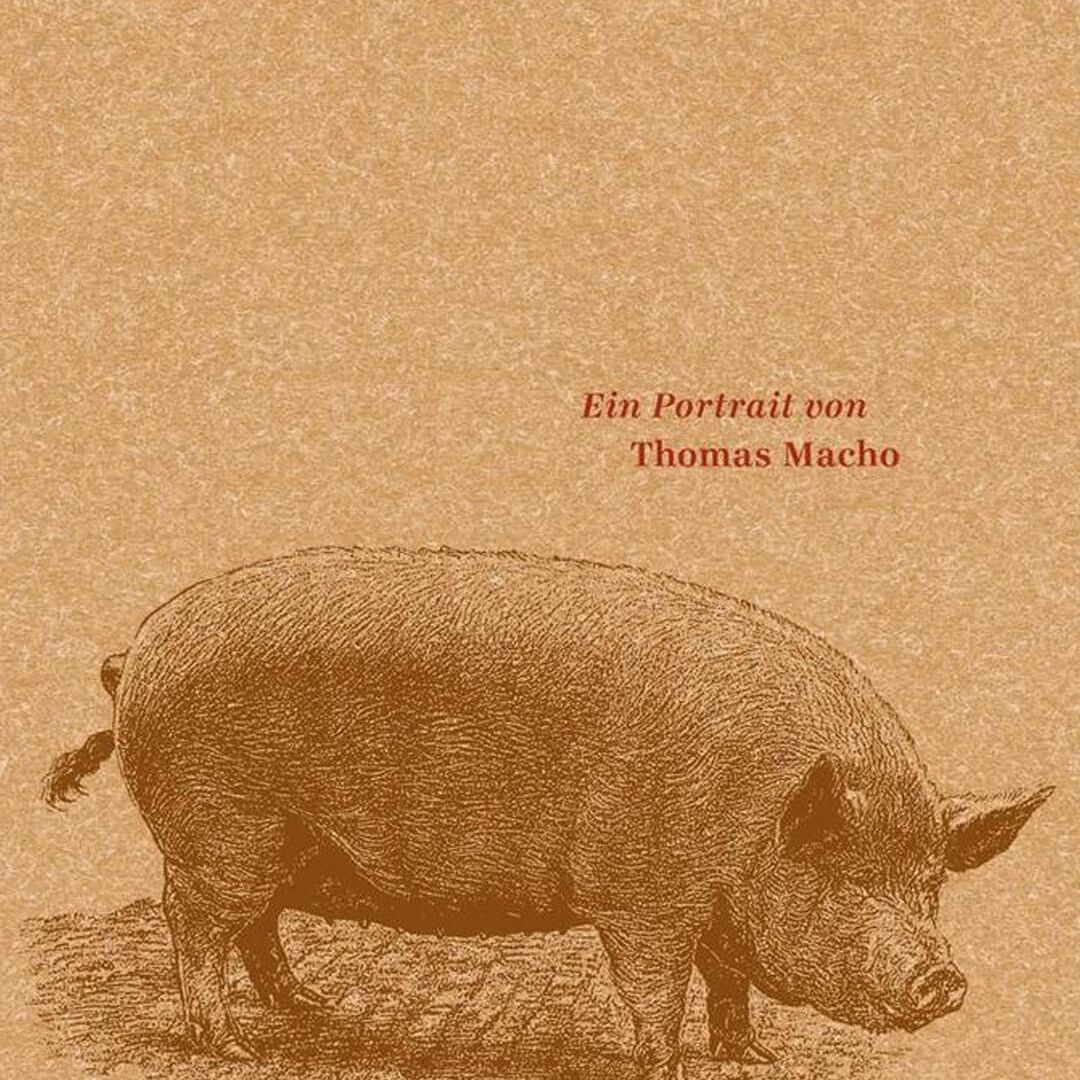 Theater zum Anfassen: DAS SCHWEIN